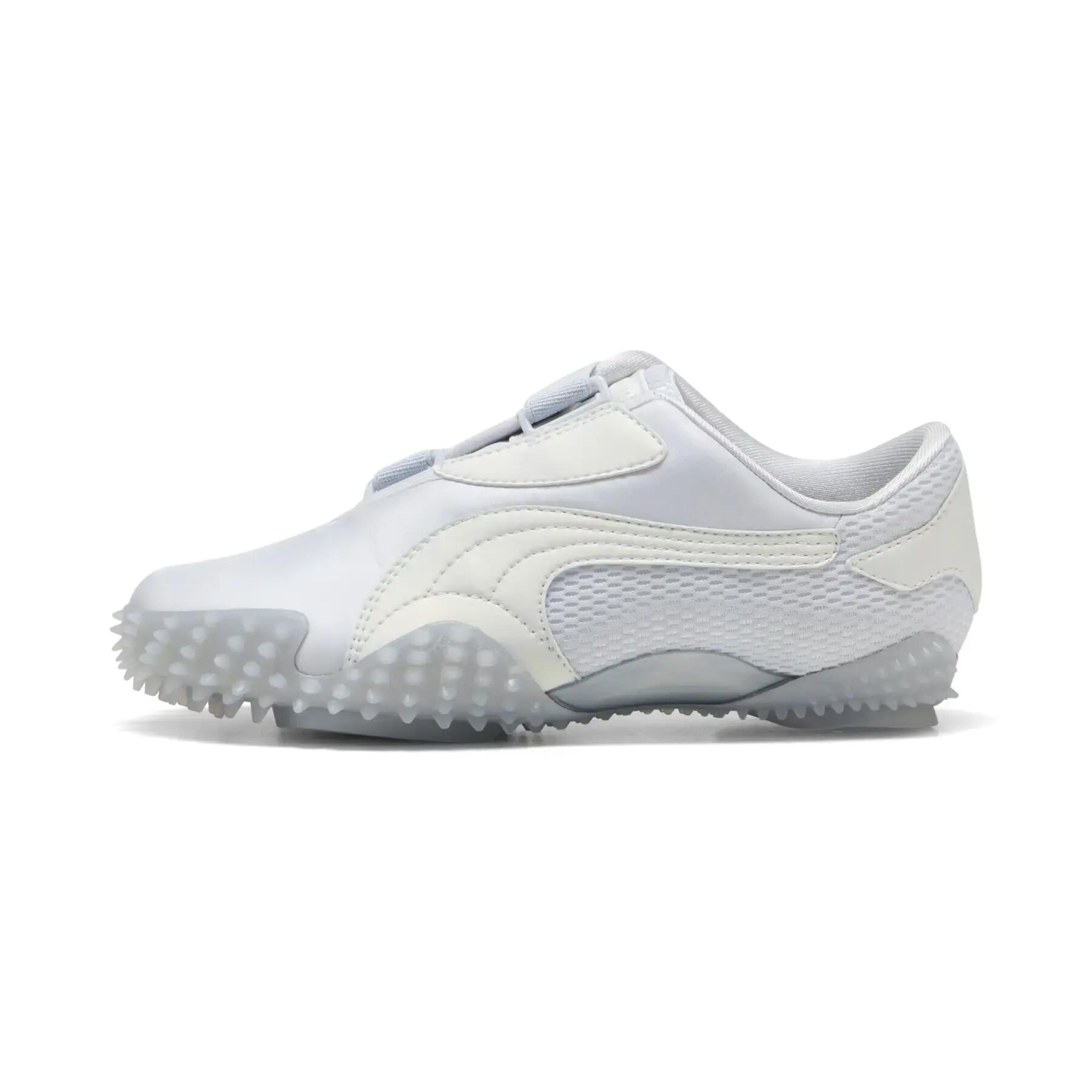 PUMA picture