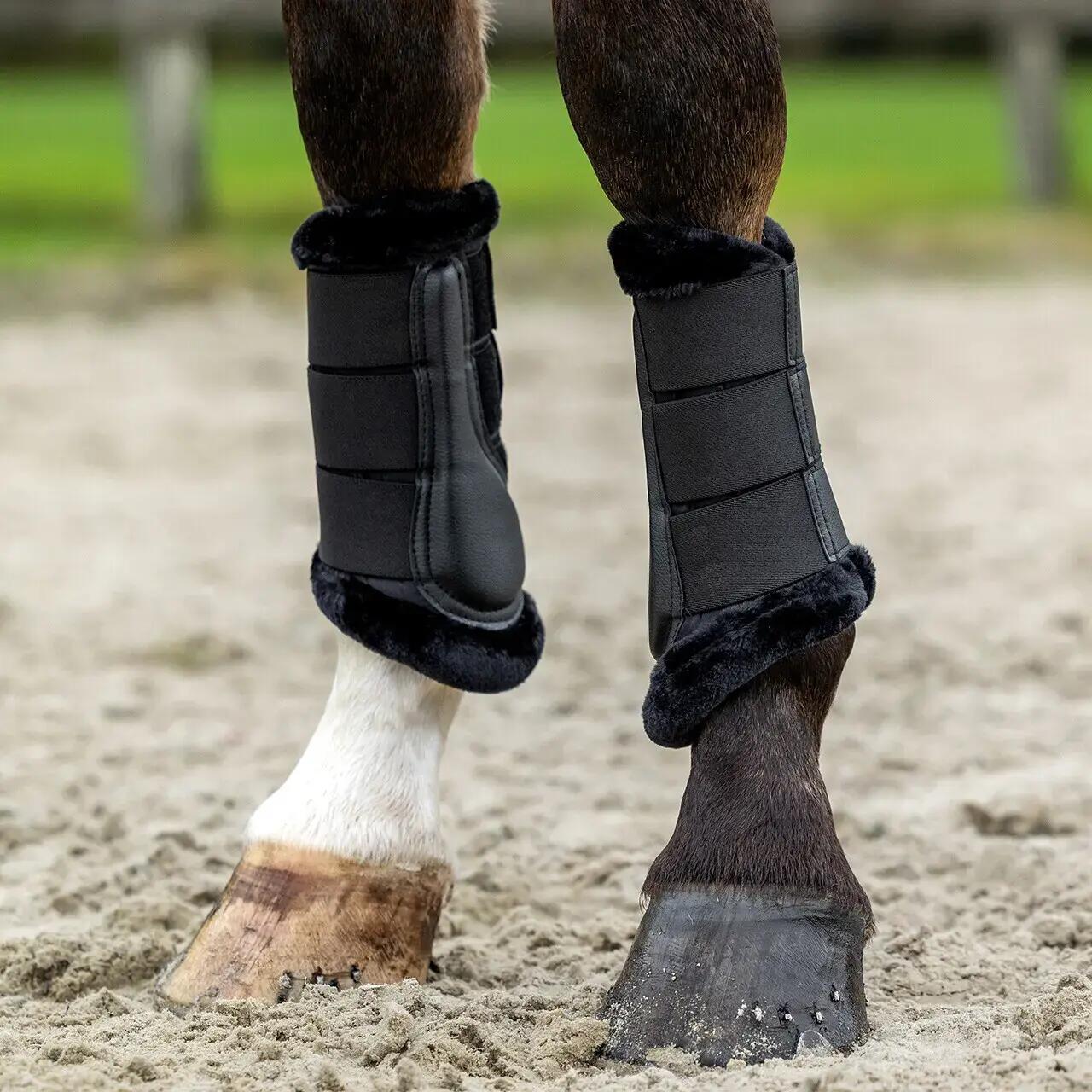 Guêtres pour cheval QHP Livora 4/6