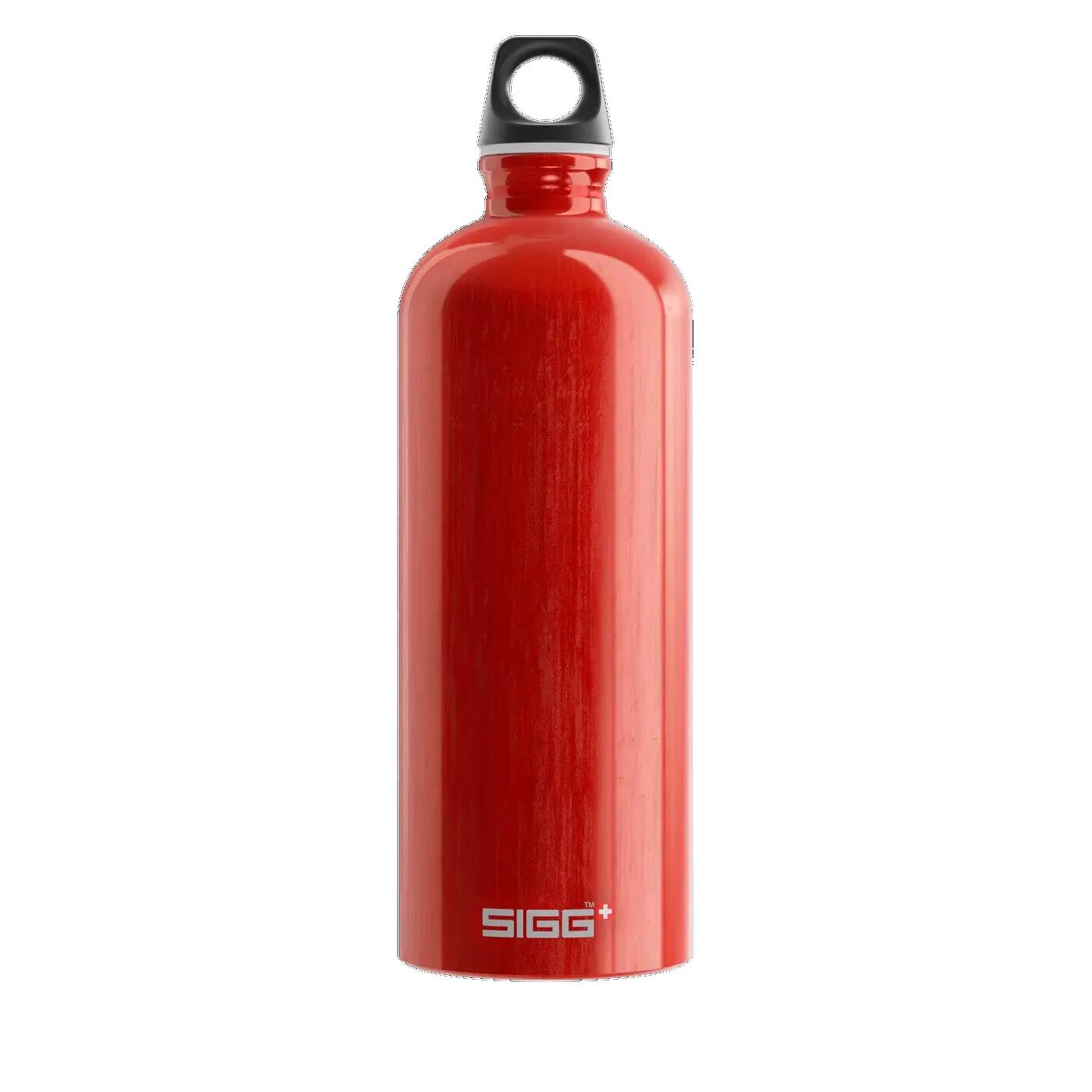 Gourde "Traveller" 1L SIGG 3/4
