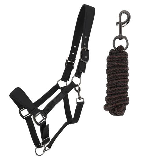 Ensemble licol et longe pour cheval QHP Avenna