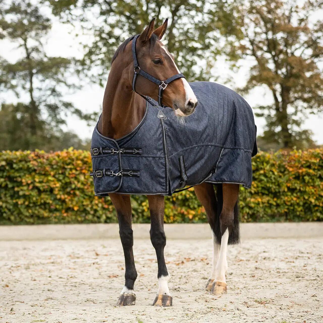 Coperta da paddock per cavalli QHP Collection 300g 2/5