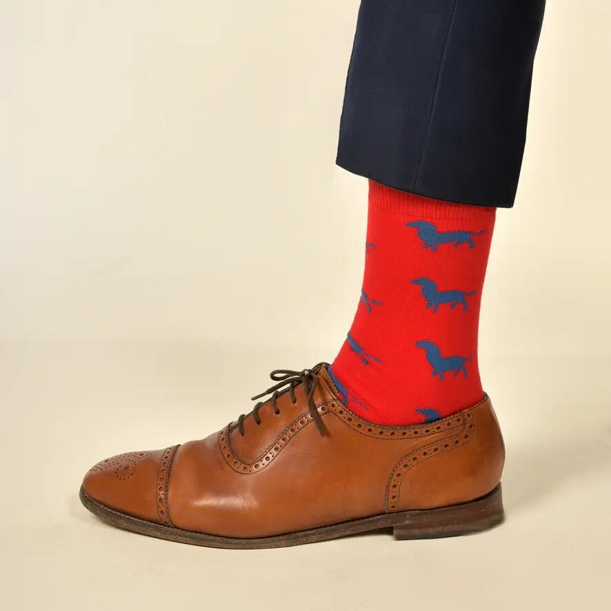 KRAWATTENDACKEL Chaussettes teckel - 411 Rouge Teckel Bleu 36 - 40 2/2