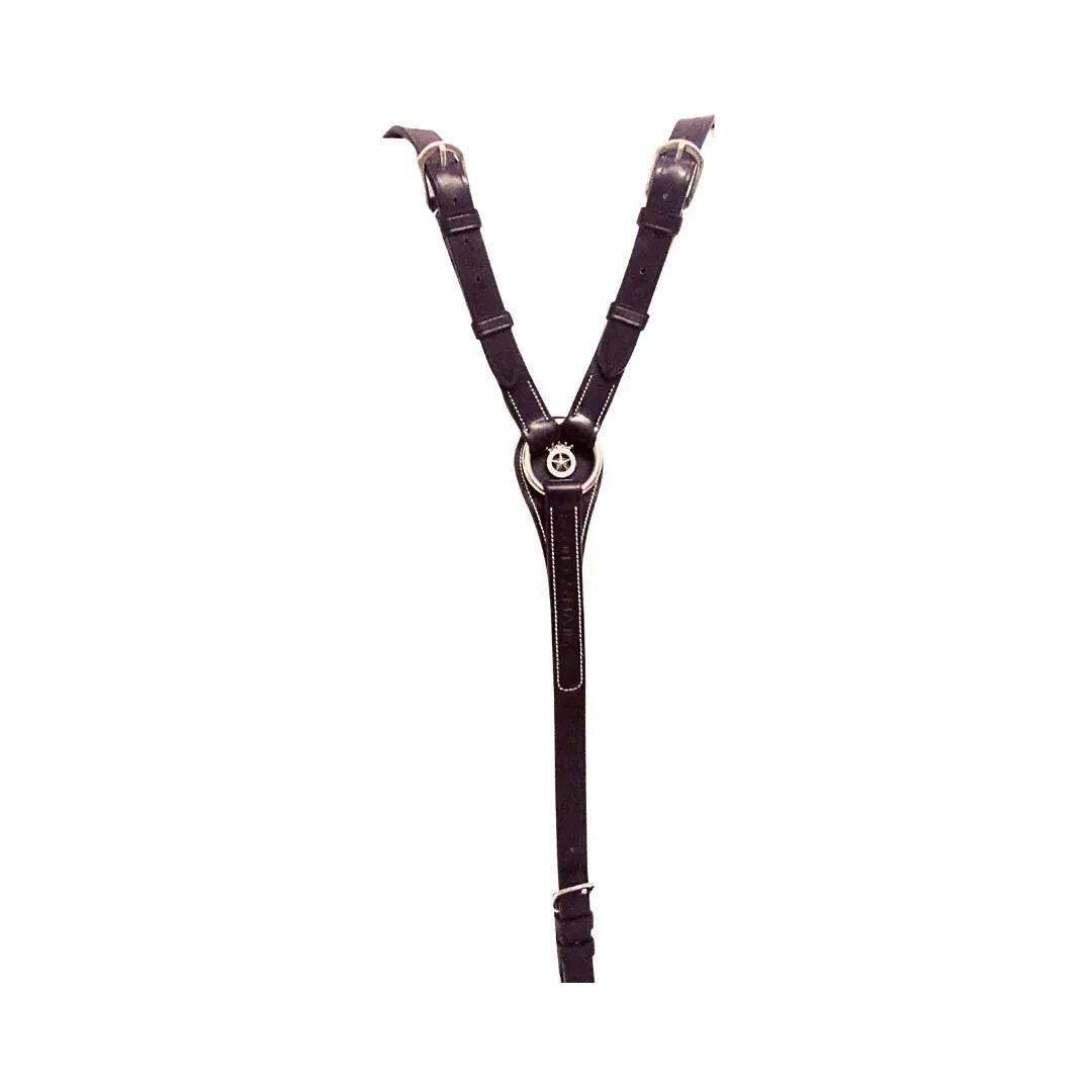 Collier de chasse Silver Crown 2/2
