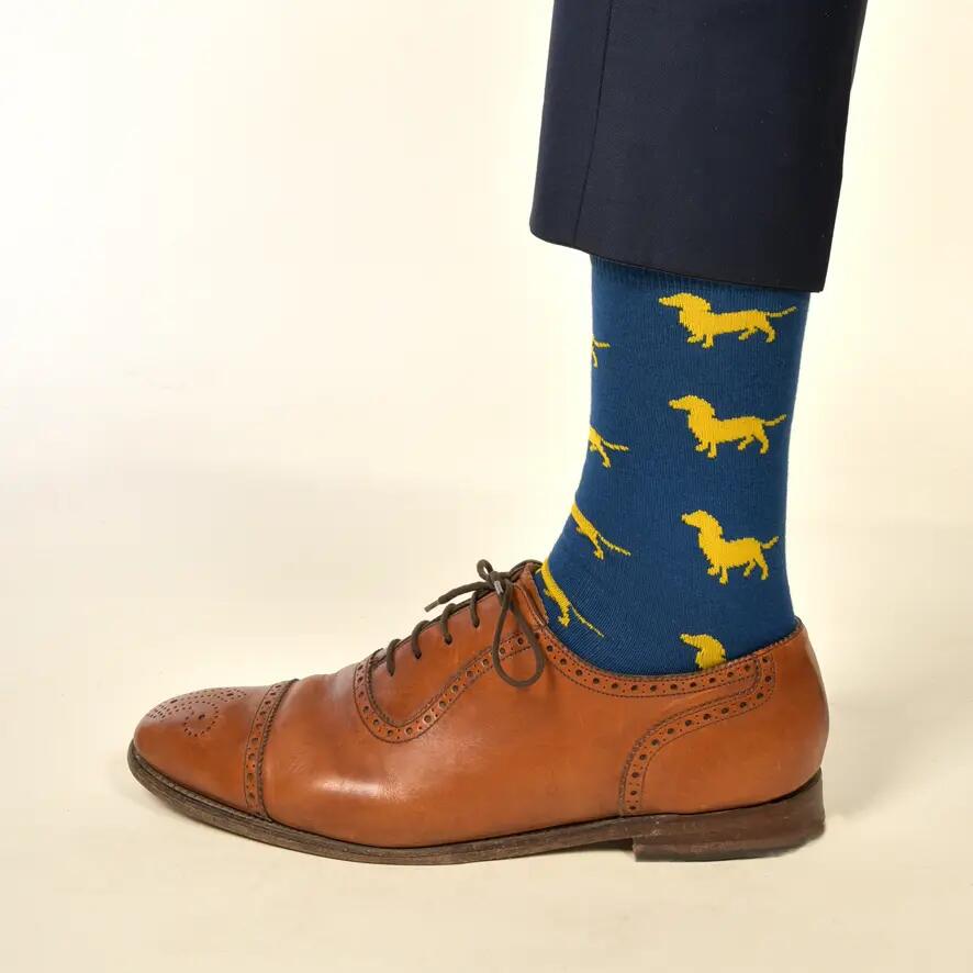 KRAWATTENDACKEL Chaussettes teckel - 409 Bleu Teckel Jaune 41 - 46 2/2