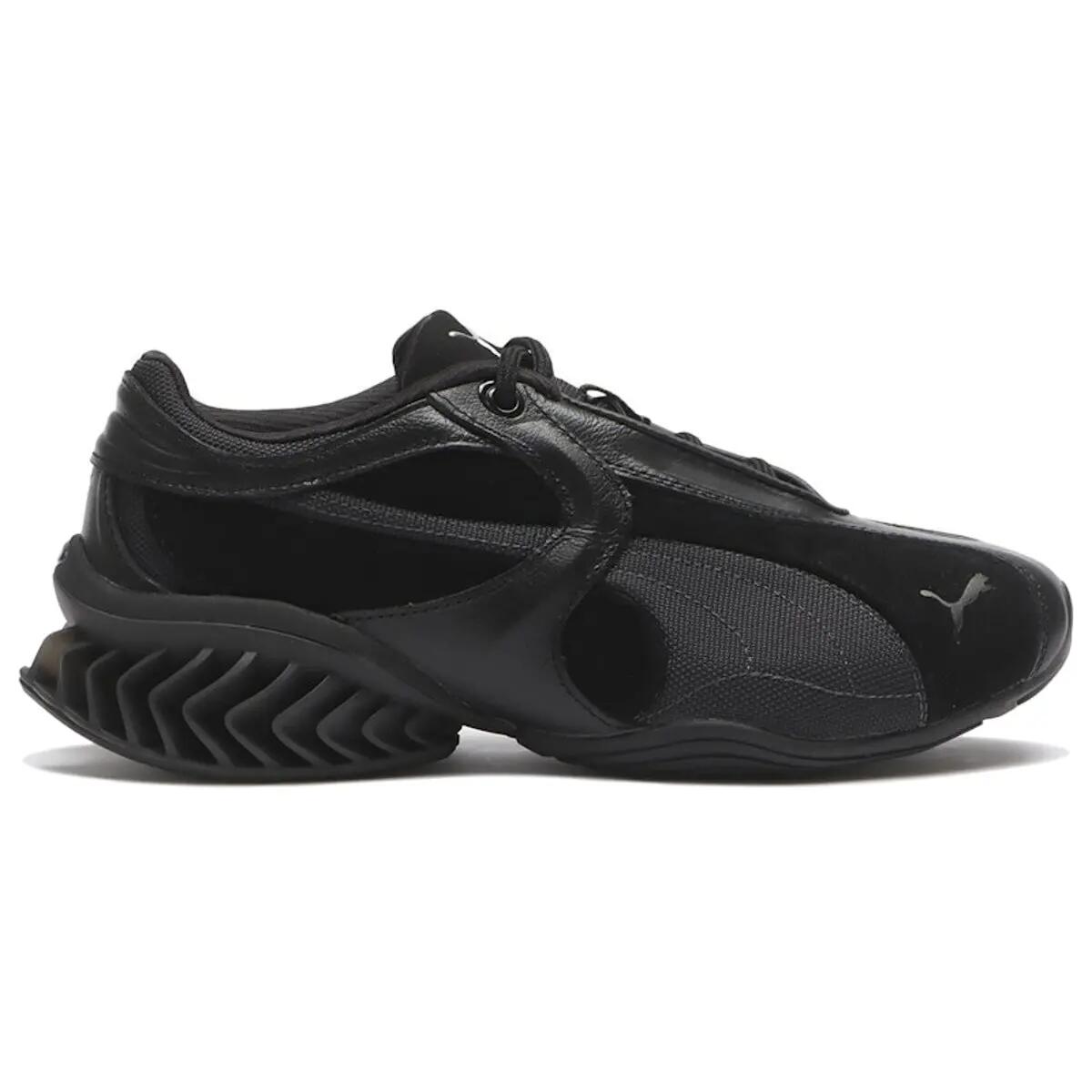 PUMA picture