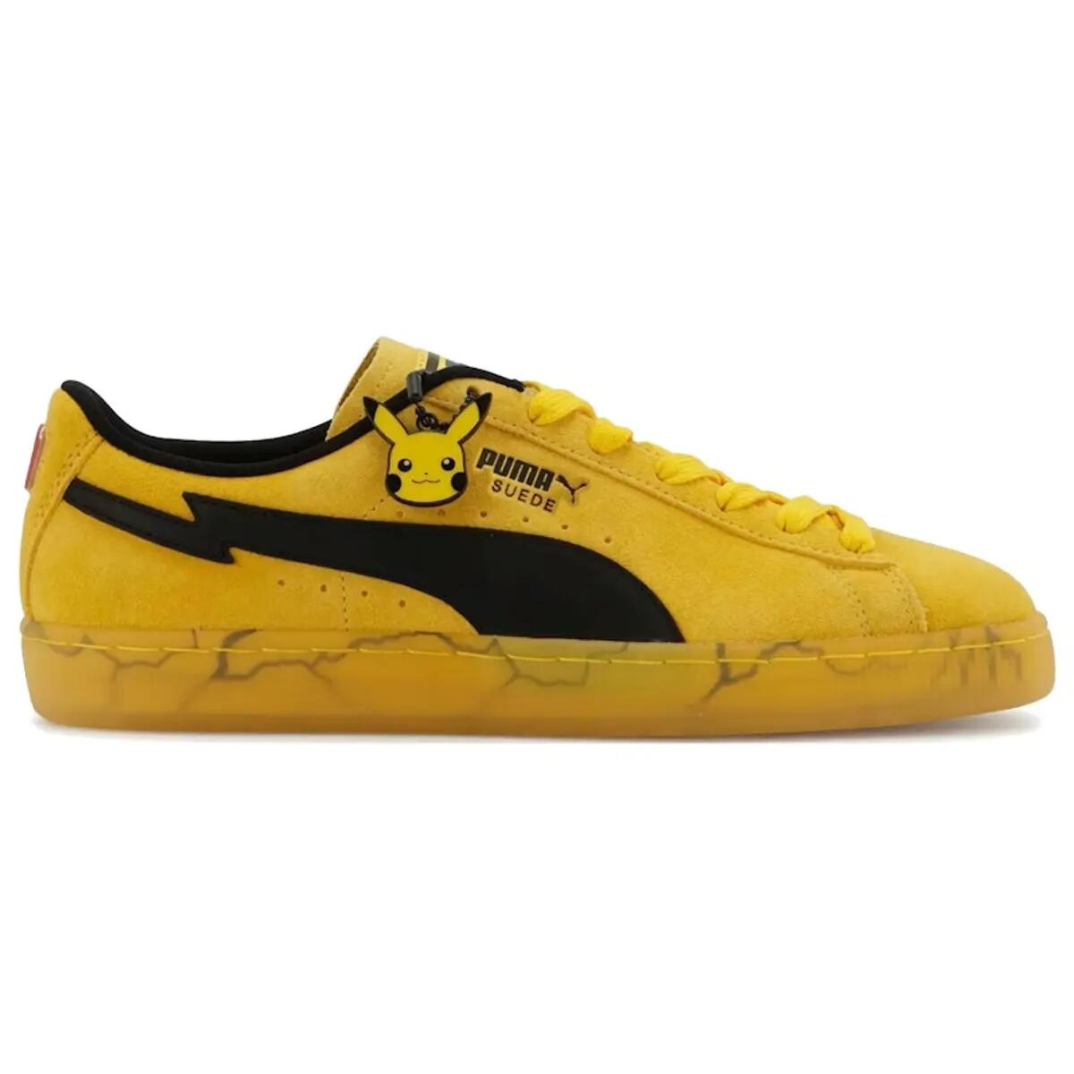 PUMA picture