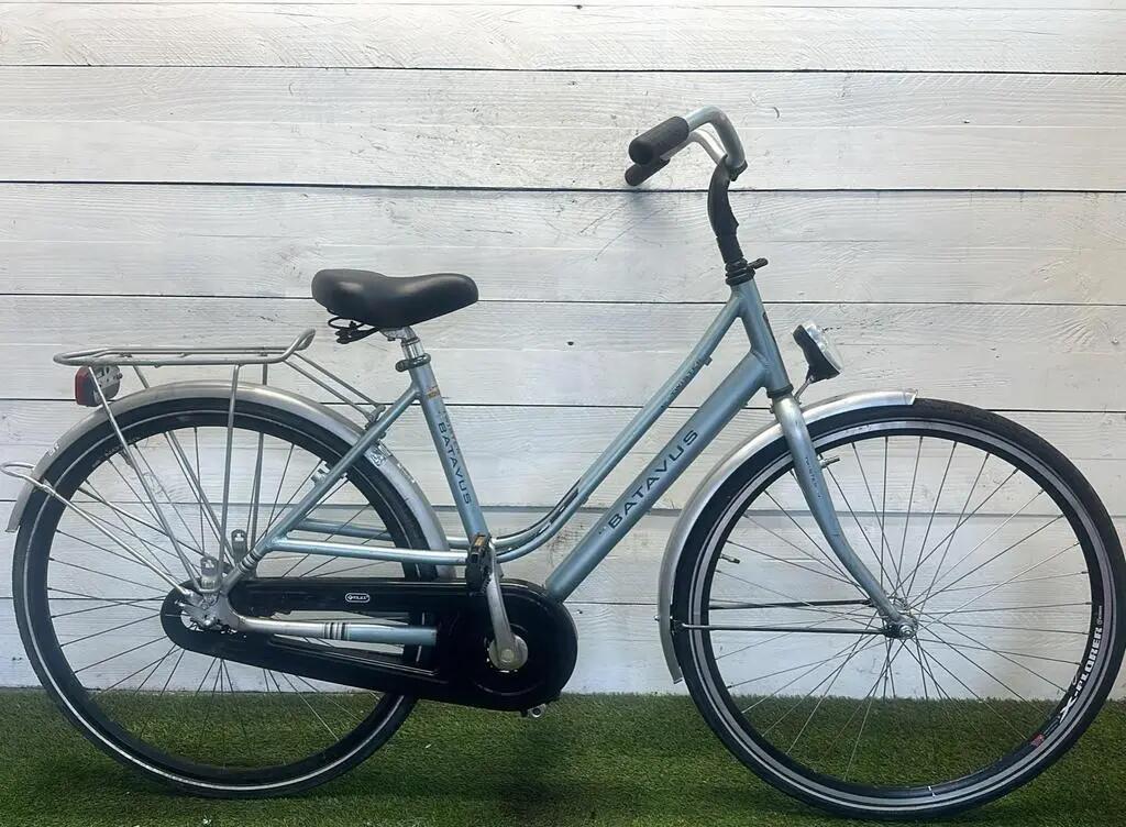 BATAVUS picture