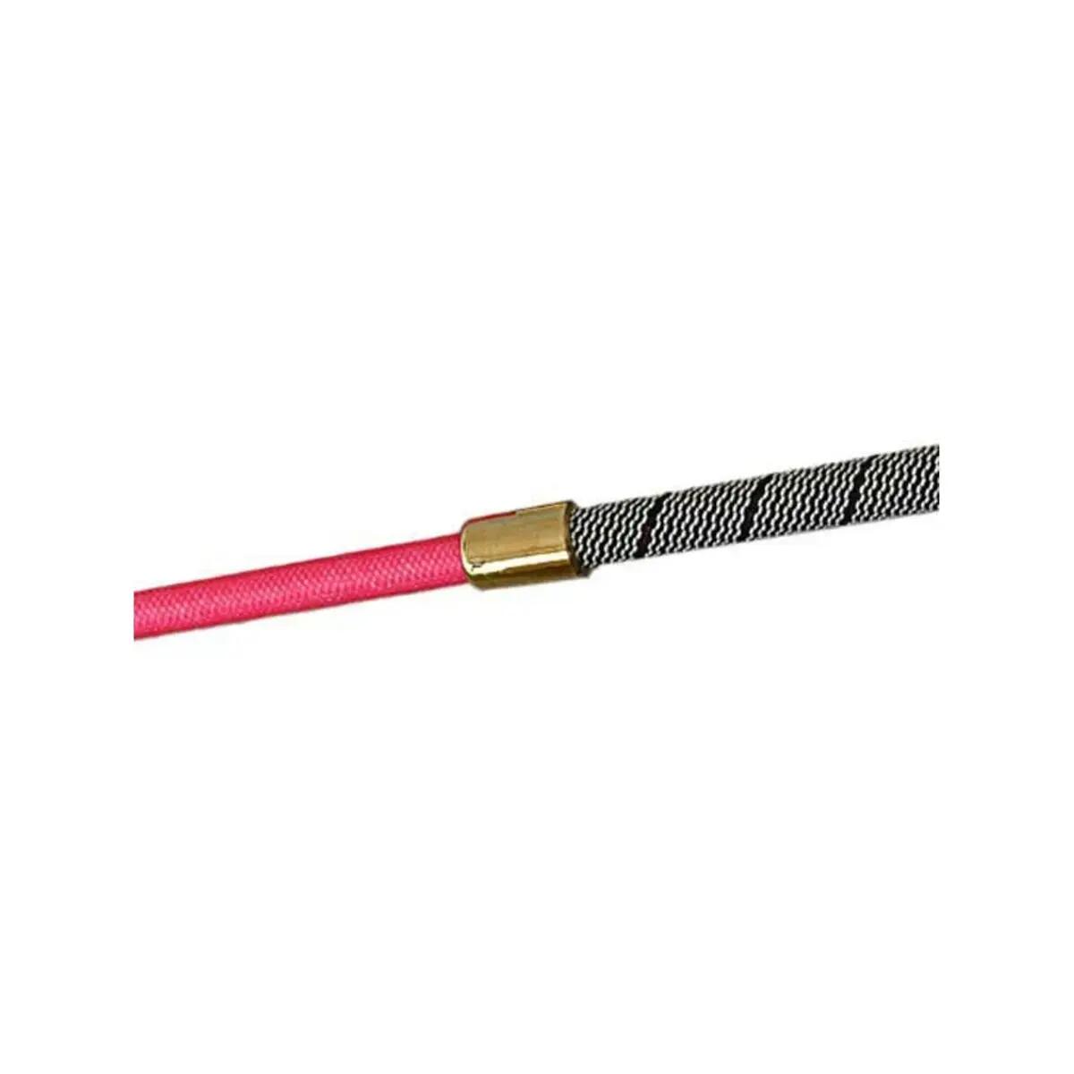 HISPANO HIPICA picture