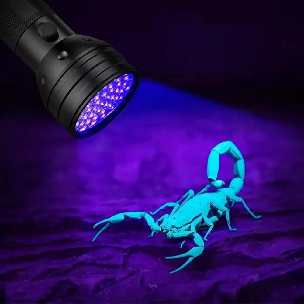 Lampe torche UV détection de traces WOZINSKY 6/6
