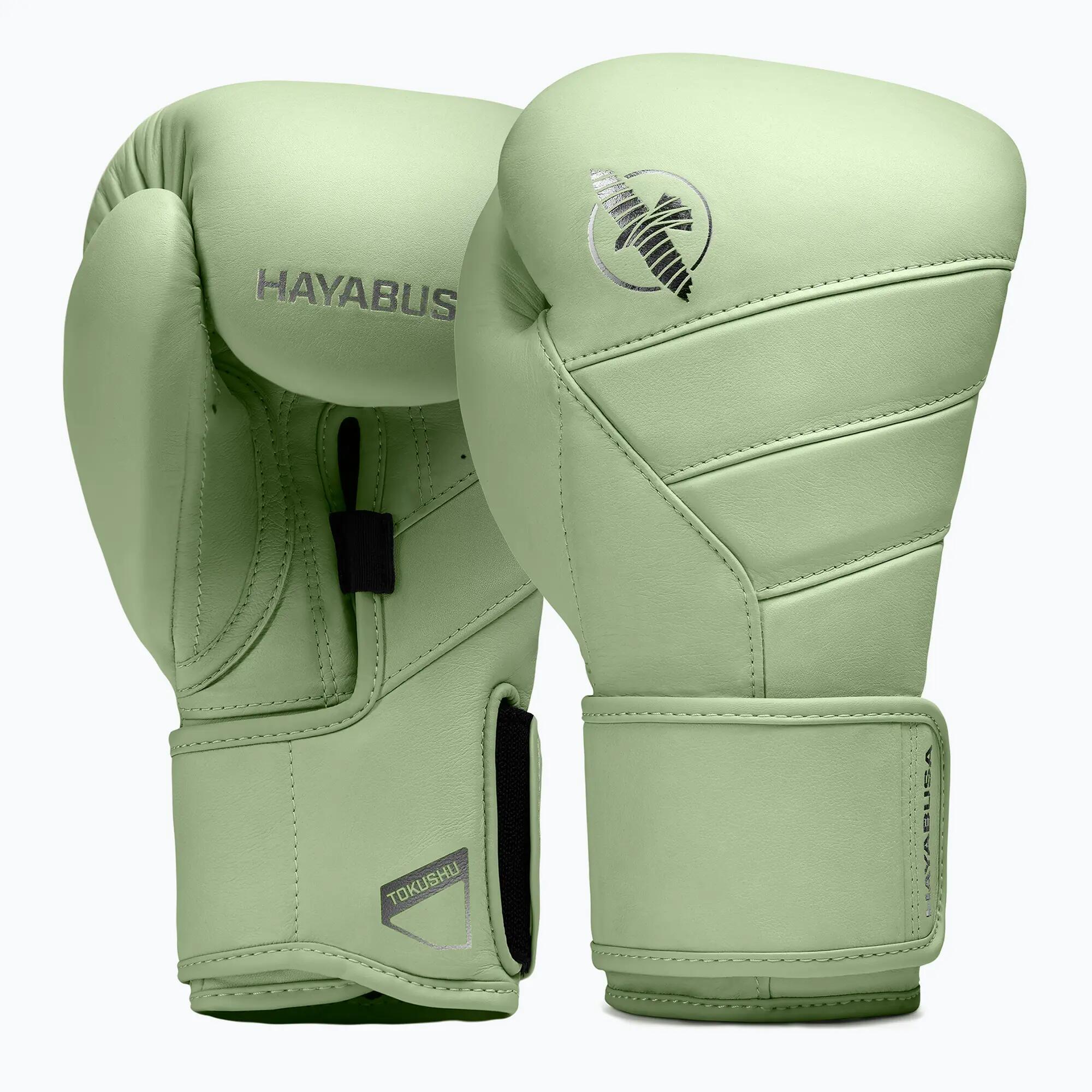 HAYABUSA picture