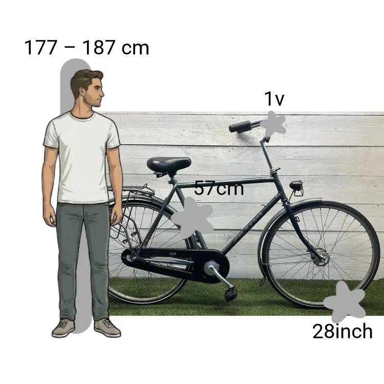 Bicicletta usata Altra 2/4