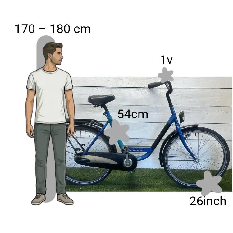 Bicicletta usata Batavus 2/4