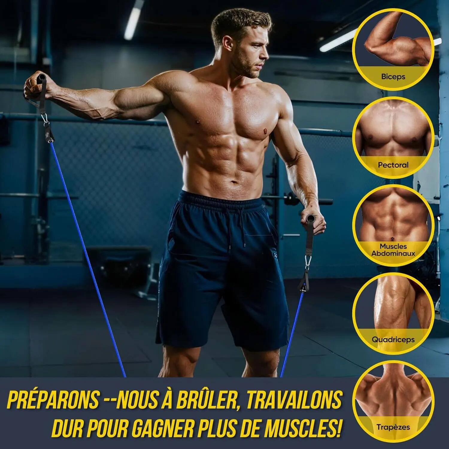 Kit Elastique Musculation avec 5 Niveaux Élastique Musculation 150LBS 5/9