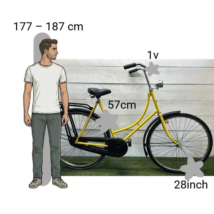 Bicicletta usata BSP 2/4