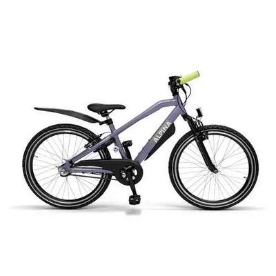Alpina trial 24", zwart