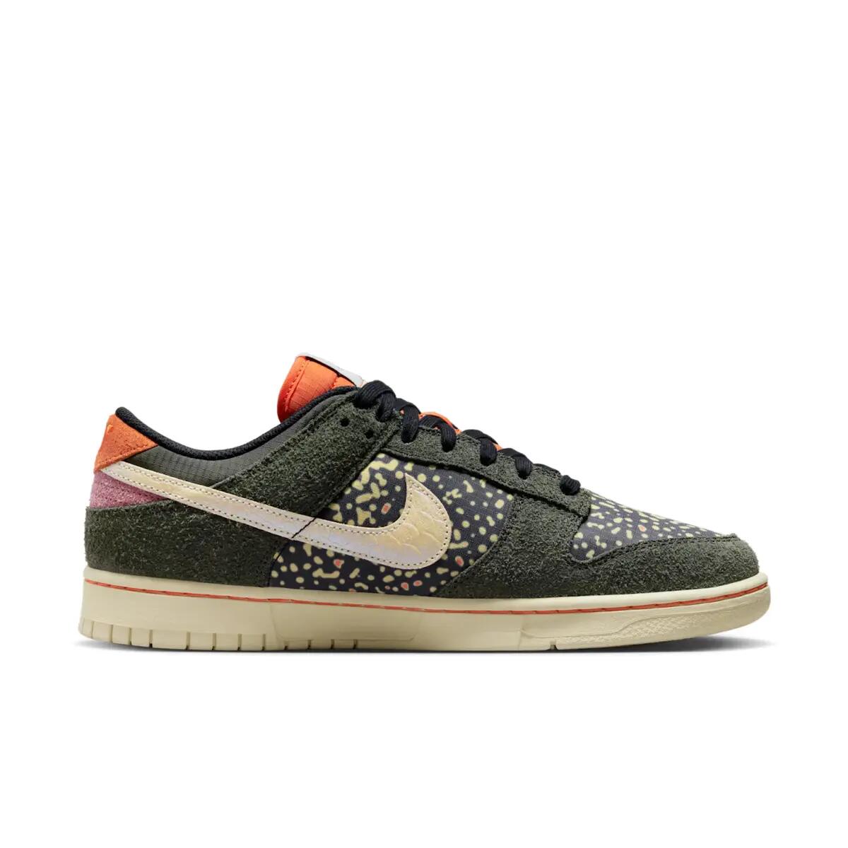Schoenen  Dunk Low SE Gone Fishing Rainbow Trout 3/6