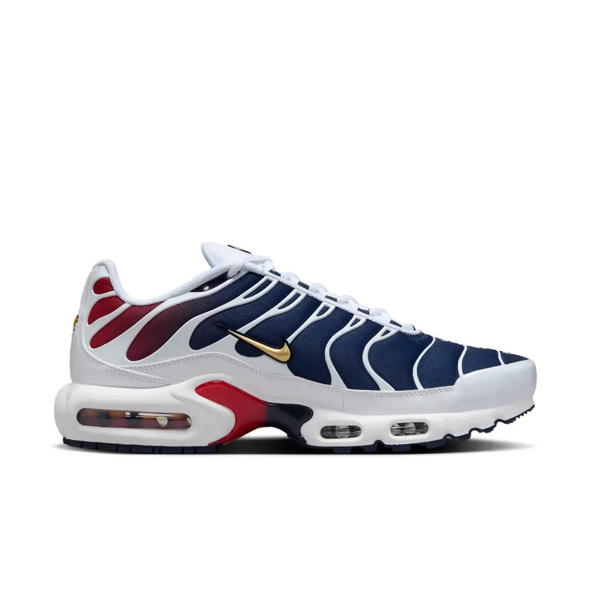 Shoes  Air Max Plus PSG 5/6