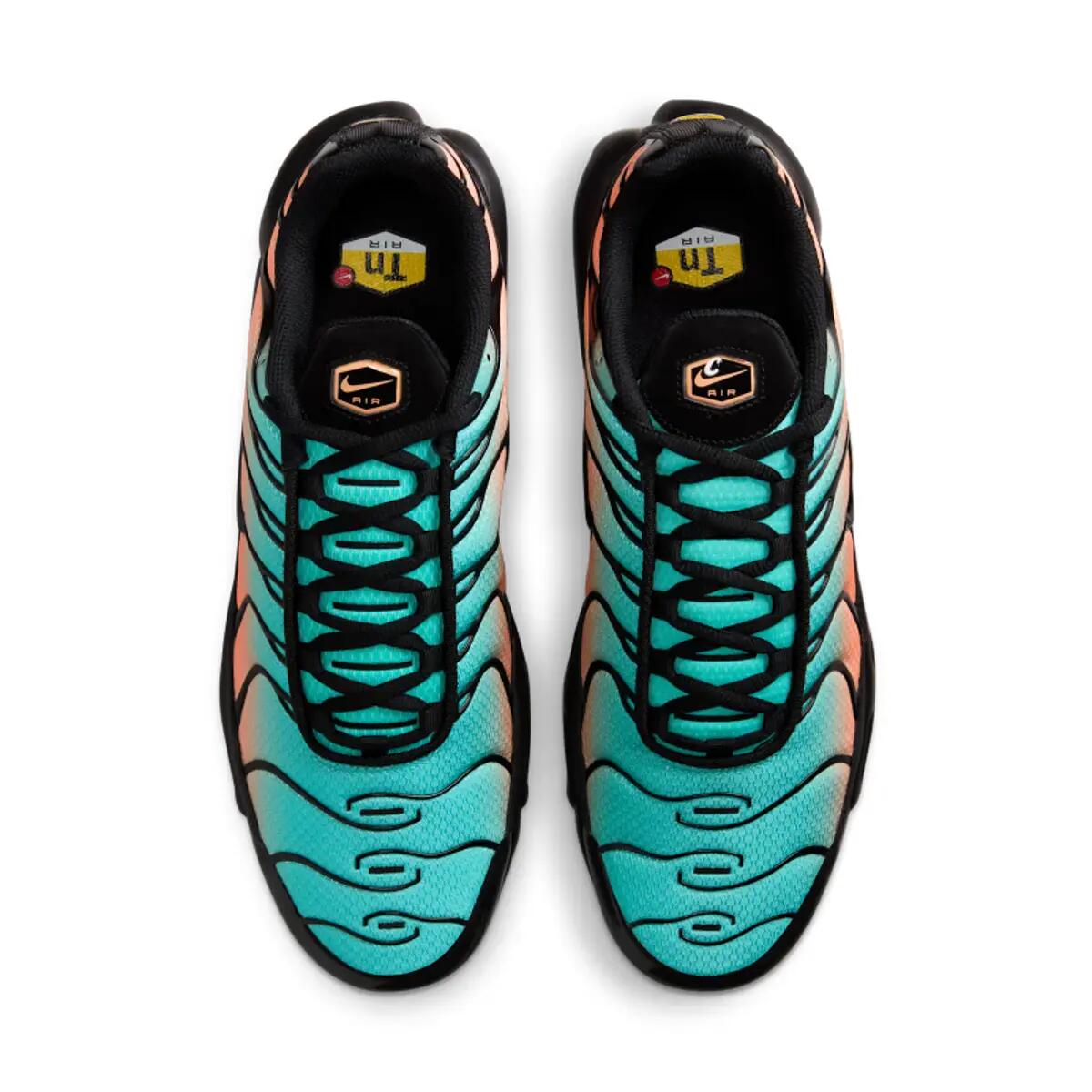 Nike Air Max Plus TN South Beach 5/6