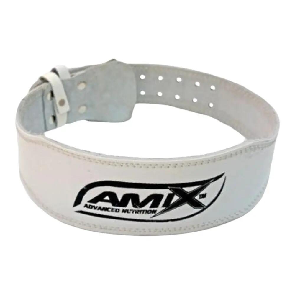 AMIX picture