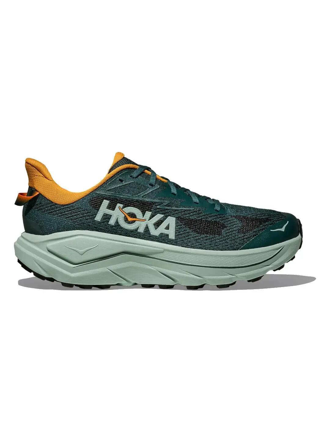 HOKA picture