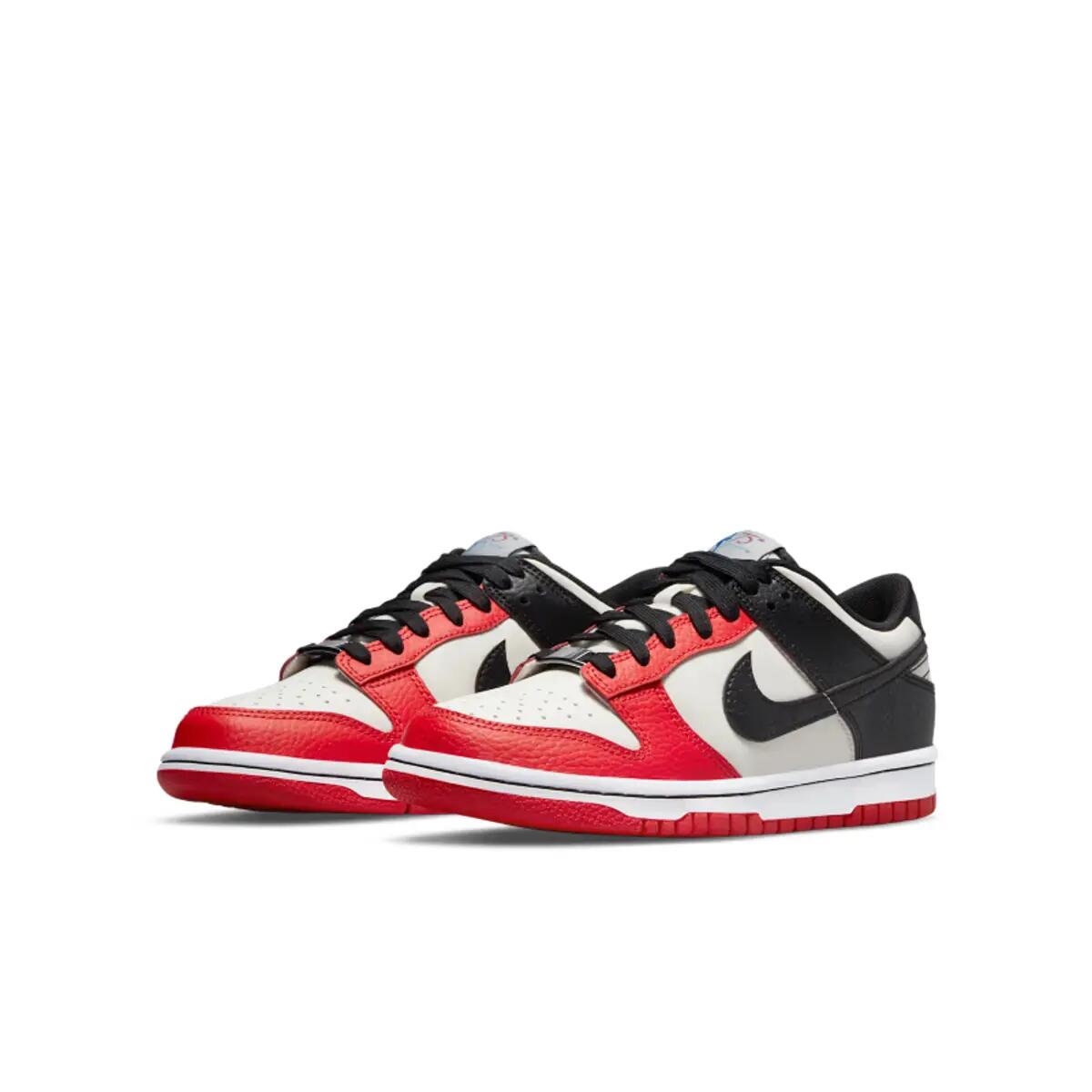 Chaussures  Dunk Low NBA 75th Anniversary Chicago Bulls 5/6