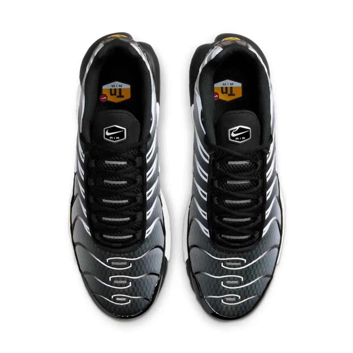 Zapatillas  Air Max Plus Black Metallic Silver 5/6