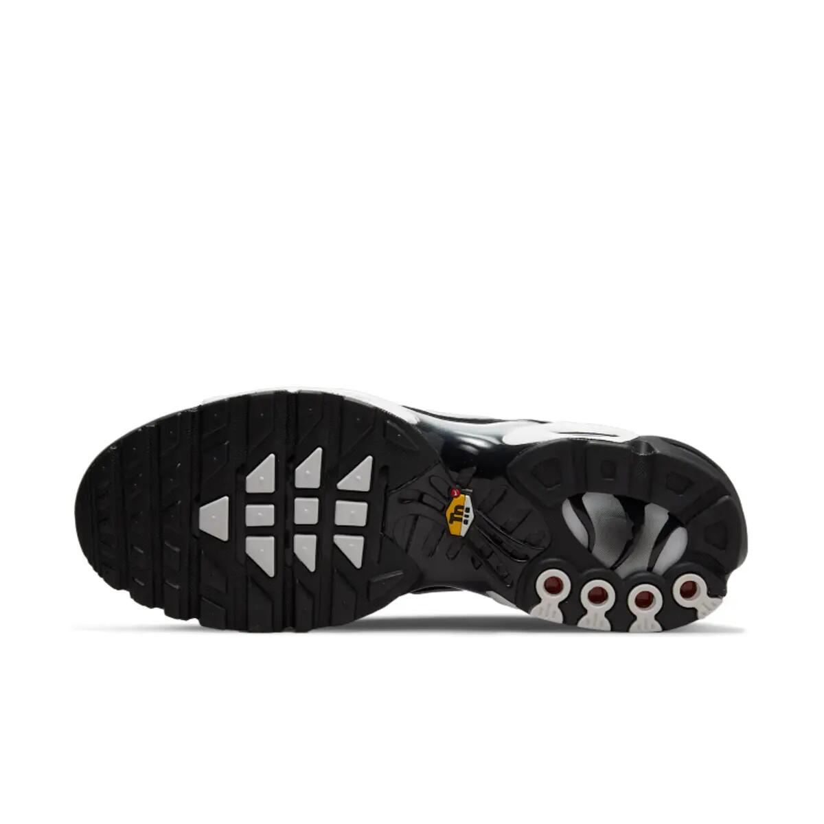Zapatillas  Air Max Plus Black Metallic Silver 2/6