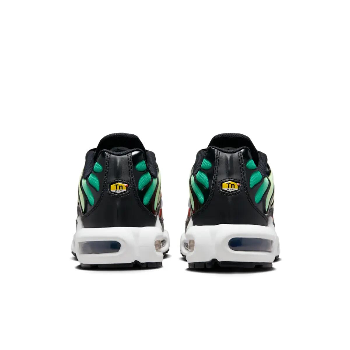 Nike Air Max Plus TN Rainbow 6/6