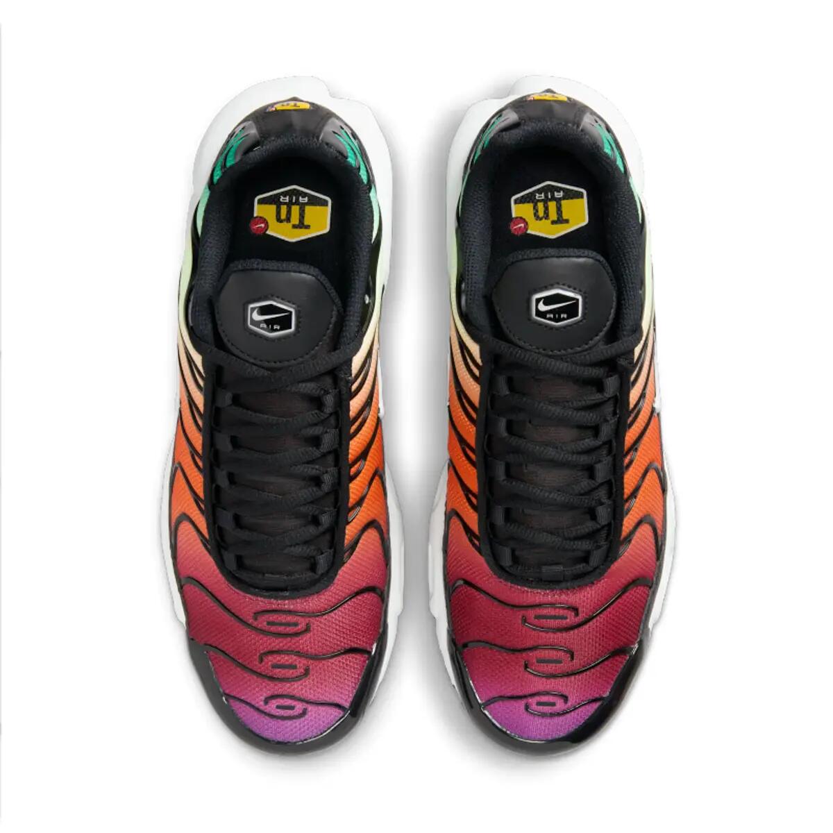 Nike Air Max Plus TN Rainbow 5/6