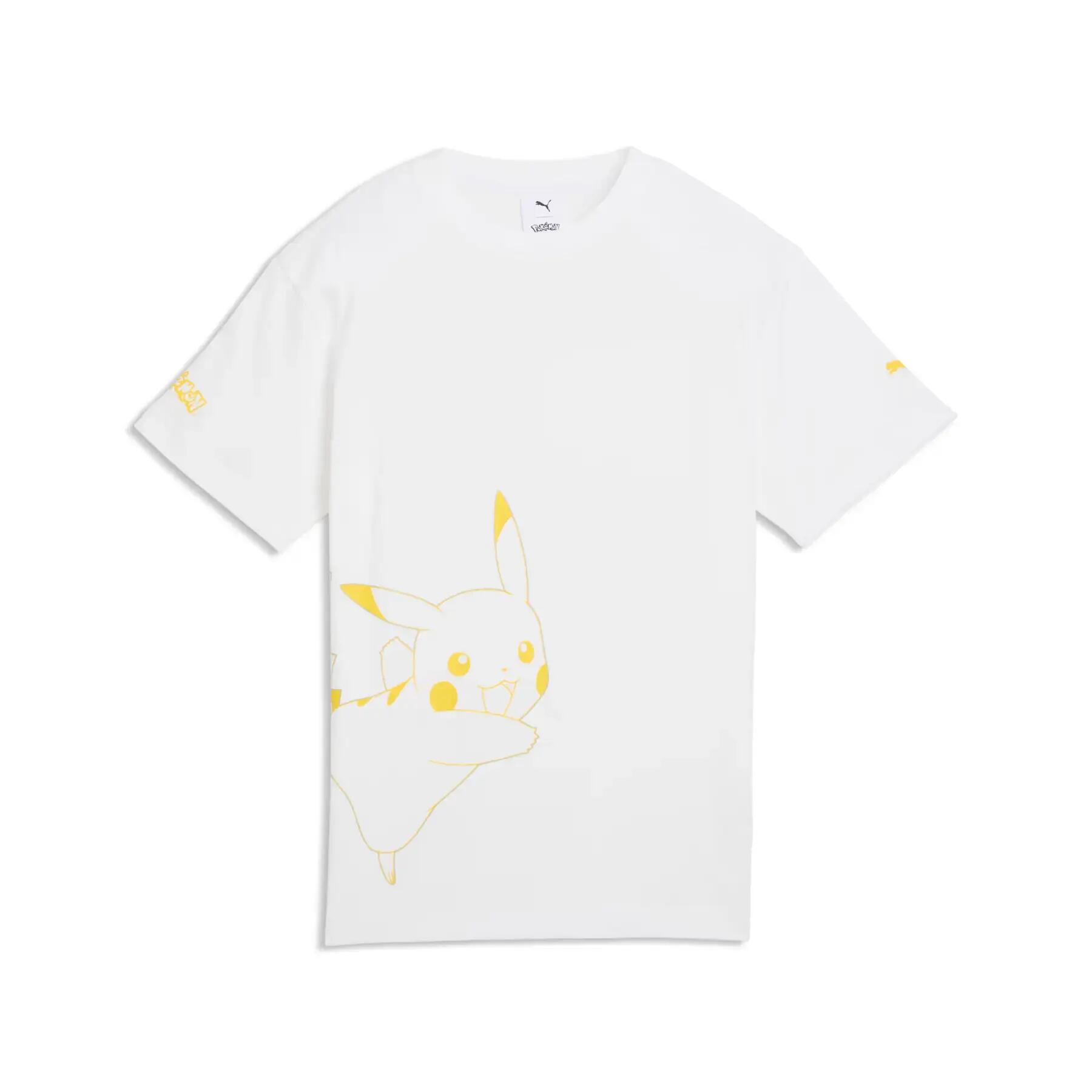 PUMA picture