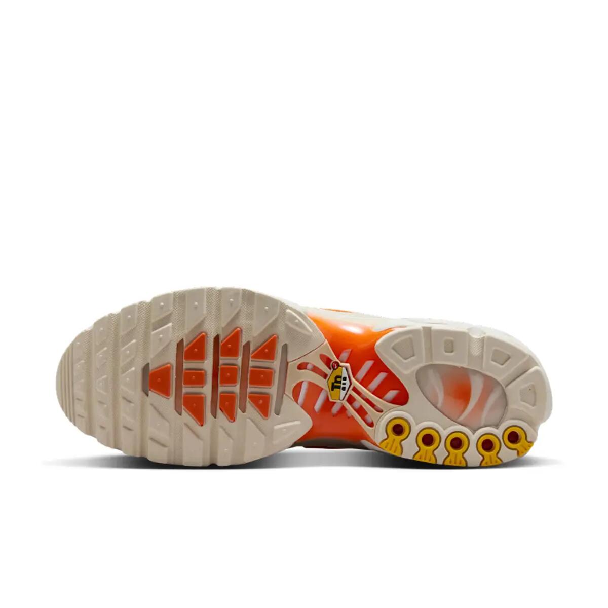Heren - Nike Air Max Plus - Dm0032-019 - Grijs 2/6