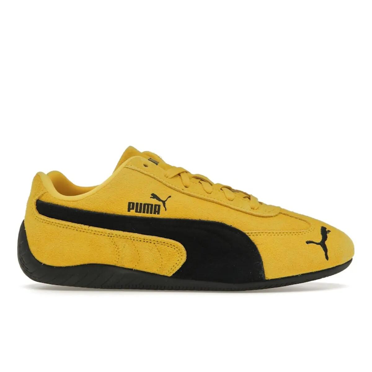 PUMA picture