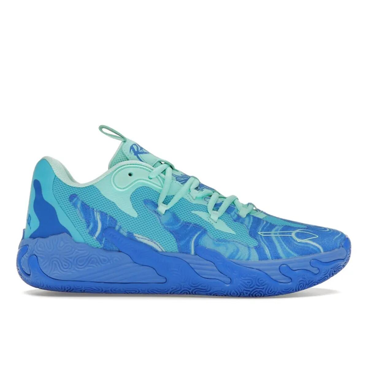 PUMA picture