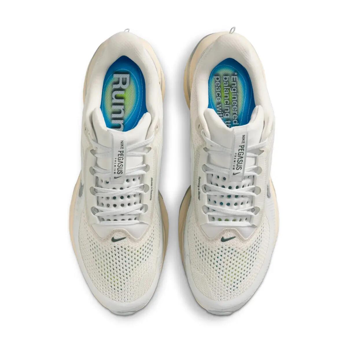 Nike Air Zoom Pegasus Premium Running is Mental 3/6