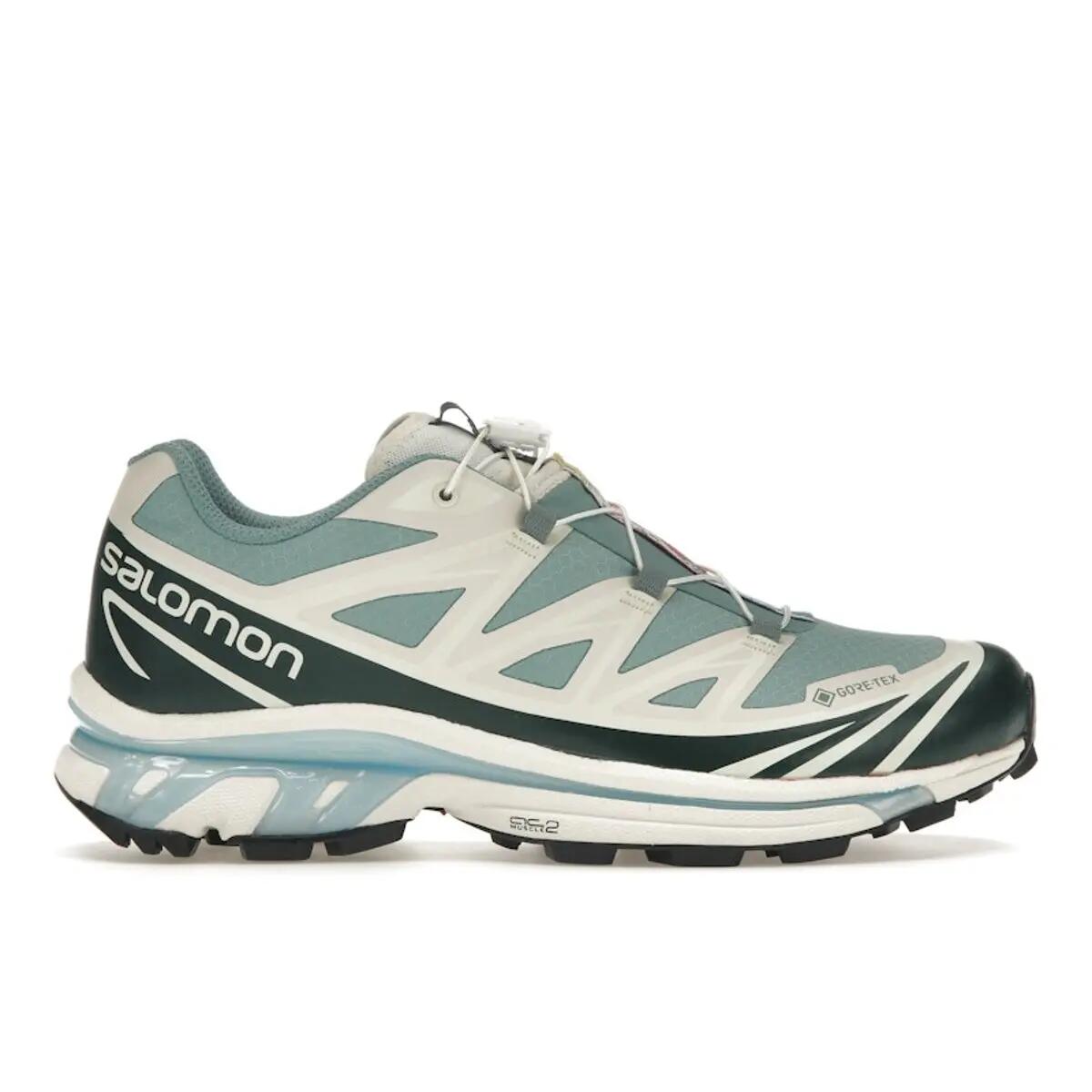 SALOMON picture