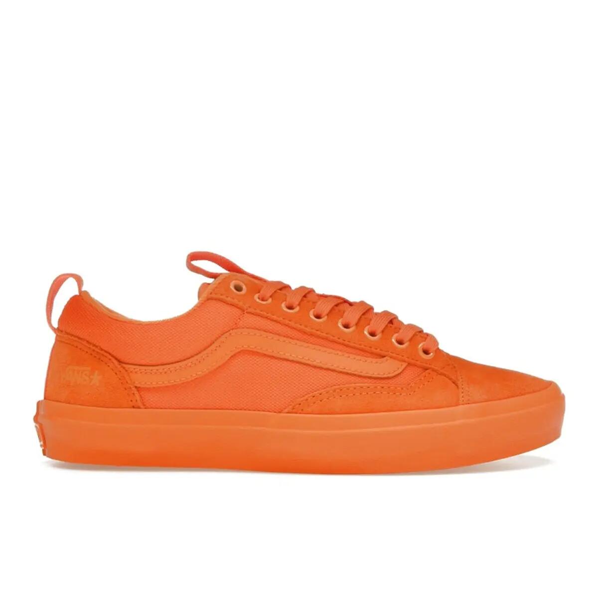 VANS picture