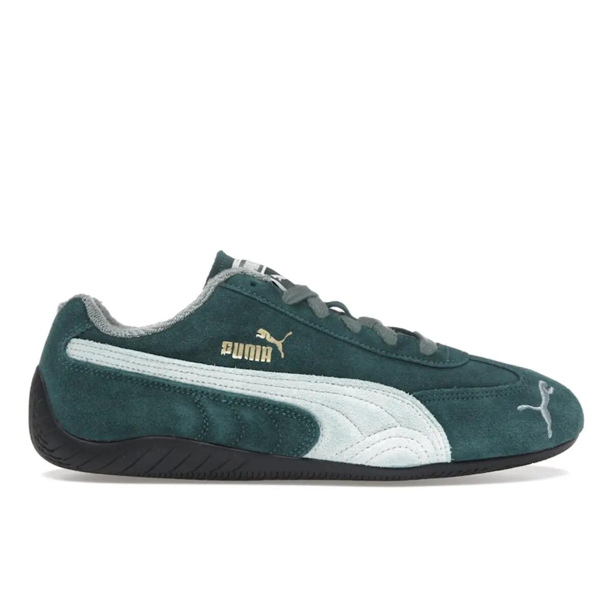 PUMA picture