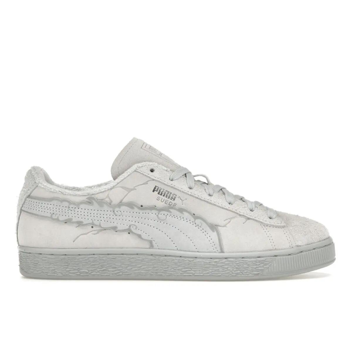 PUMA picture