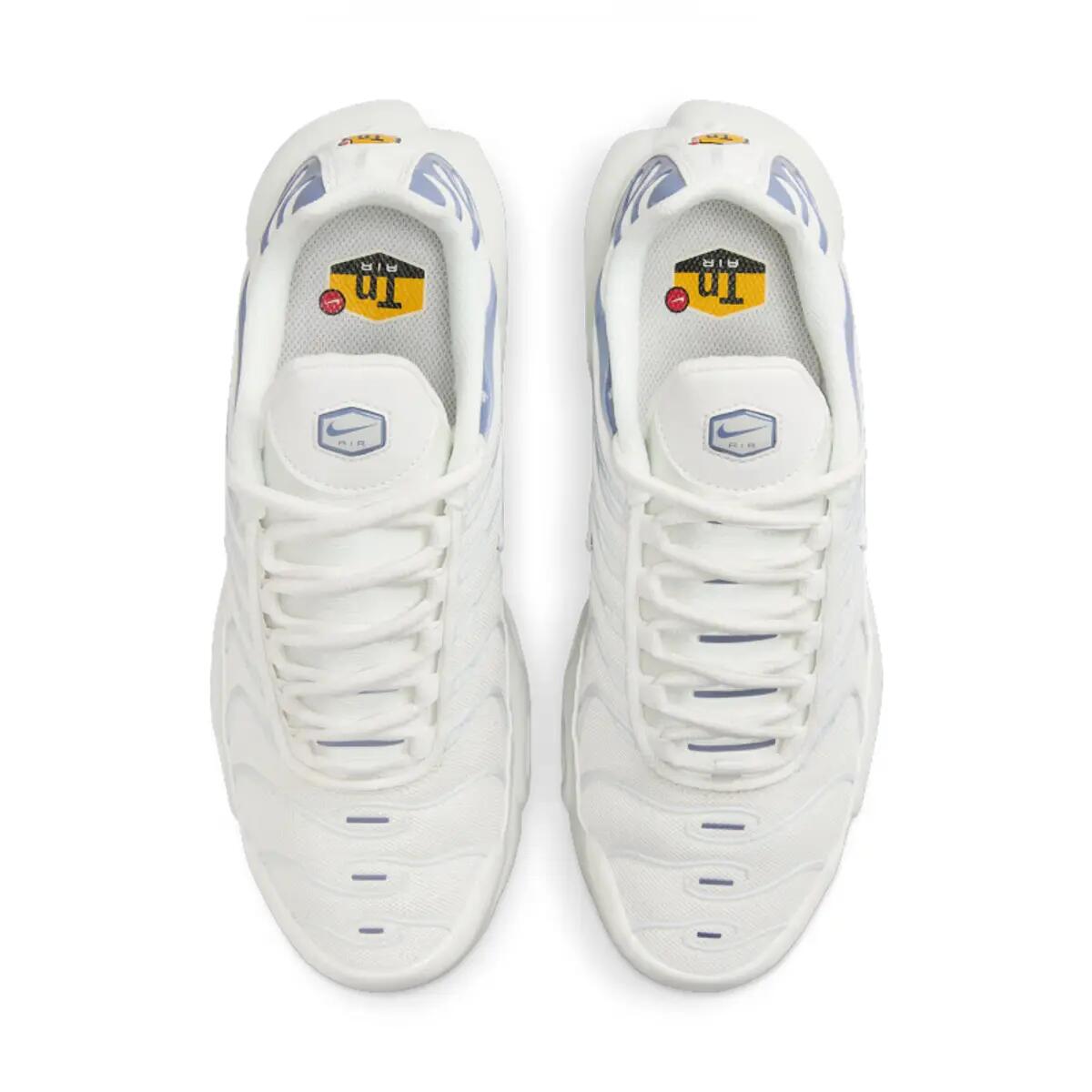 Nike Air Max Plus Ashen Slate (Women's) 5/6