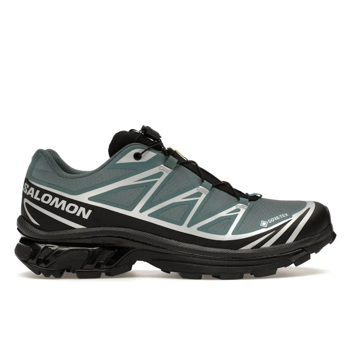 SALOMON picture