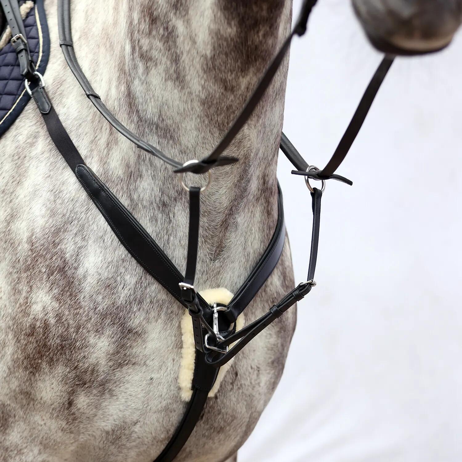 Collier de chasse pour cheval Bridlery Dynamic 2/2