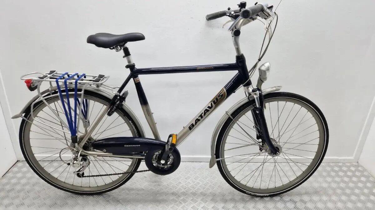 BATAVUS picture