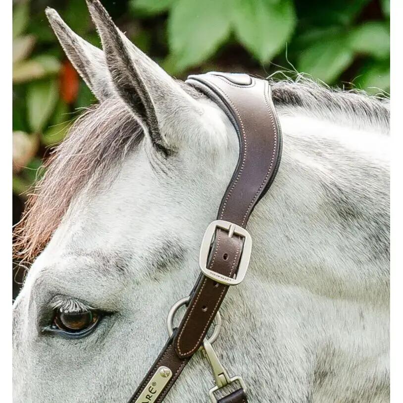 Lederhalfter für Pferde Horseware Signature 2/3