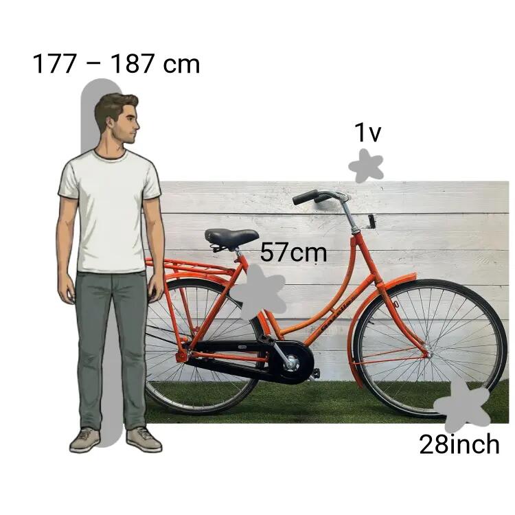 Bicicletta usata Gazelle Basic 2/4