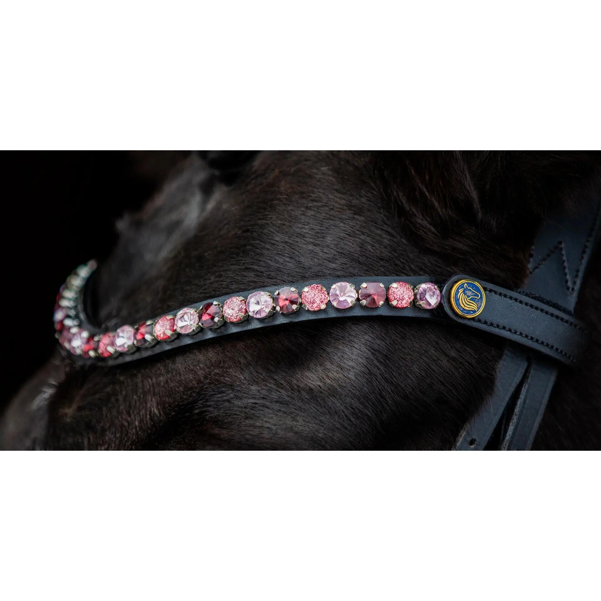 Frontal pour cheval motif champing rose Bridlery 3/4