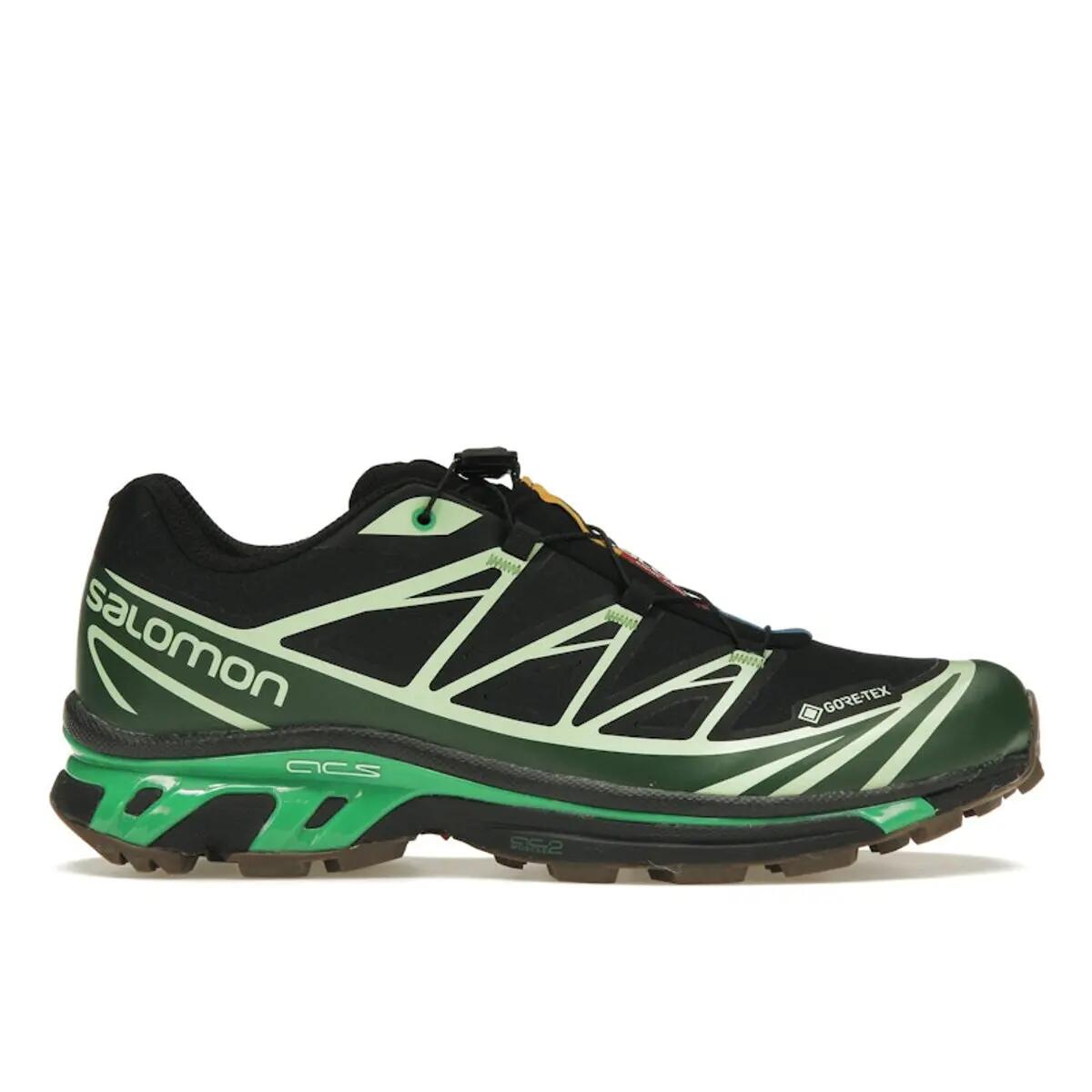 SALOMON picture