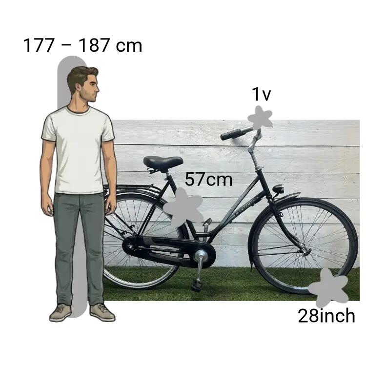 Bicicletta usata Union Sphinx 2/4