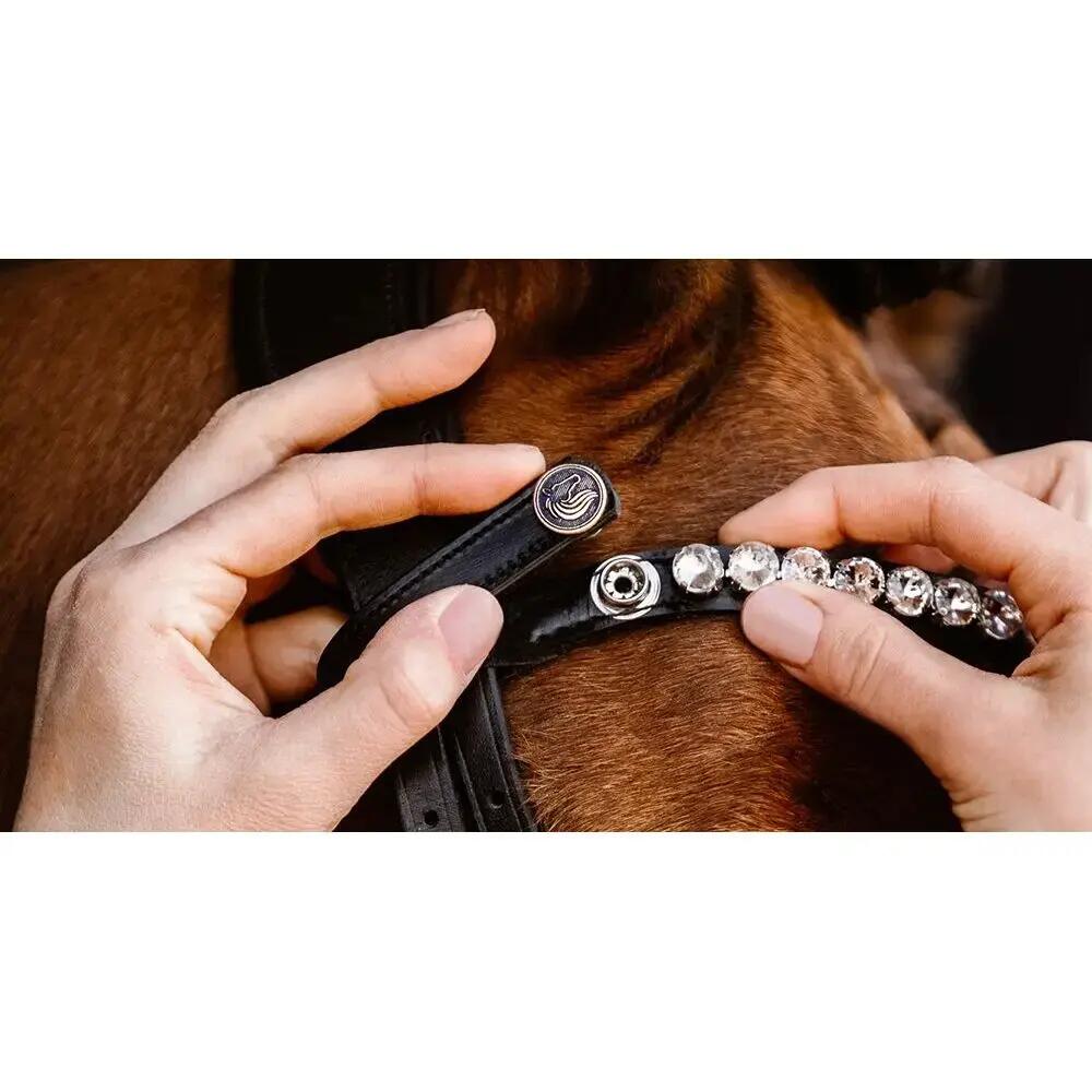Frontal pour cheval motif icead blue Bridlery 2/2