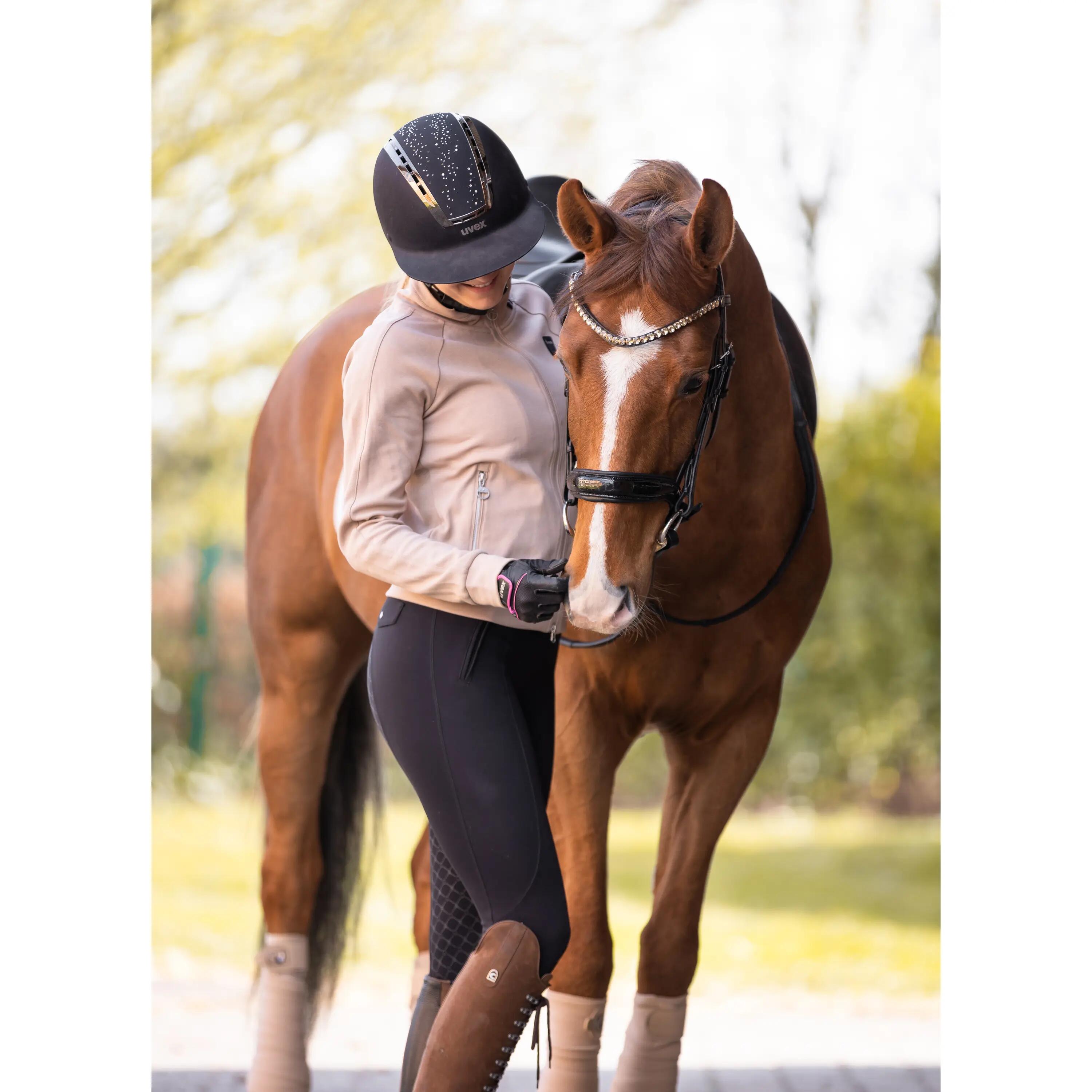 Frontal pour cheval motif champagne Bridlery 3/3
