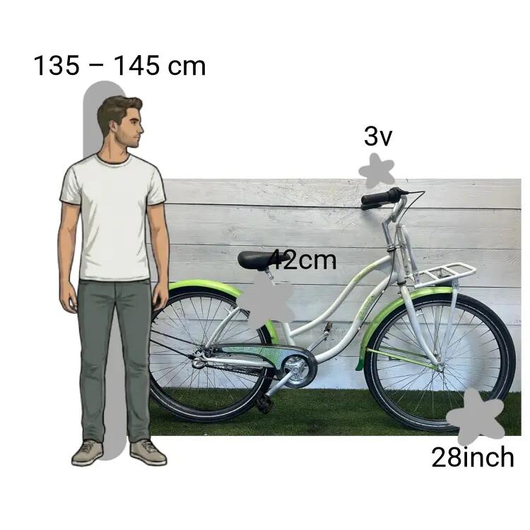 Bicicletta usata Gazelle Freestyle 2/4